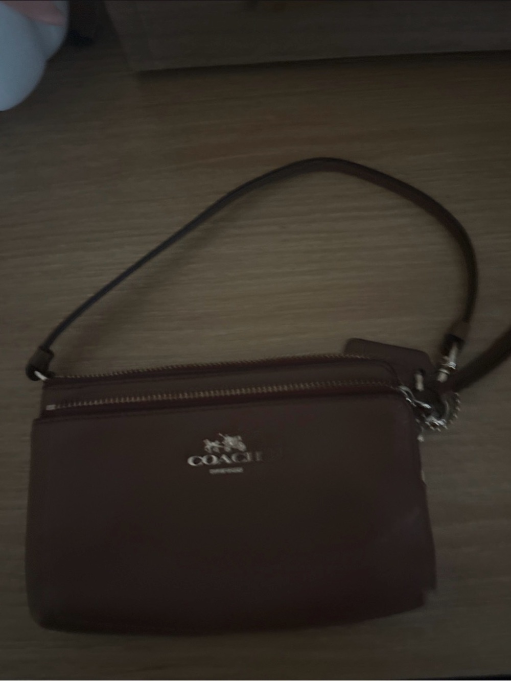 Coach Men's Leather Belt Bag in Dark Brown with Silver Hardware